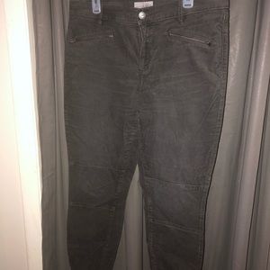 Loft corduroy pants